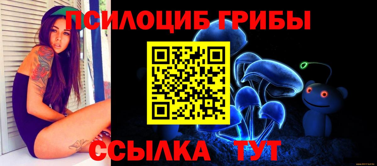 Алейск  Псилоцибиновые грибы прущие грибы  Вход с VPN 